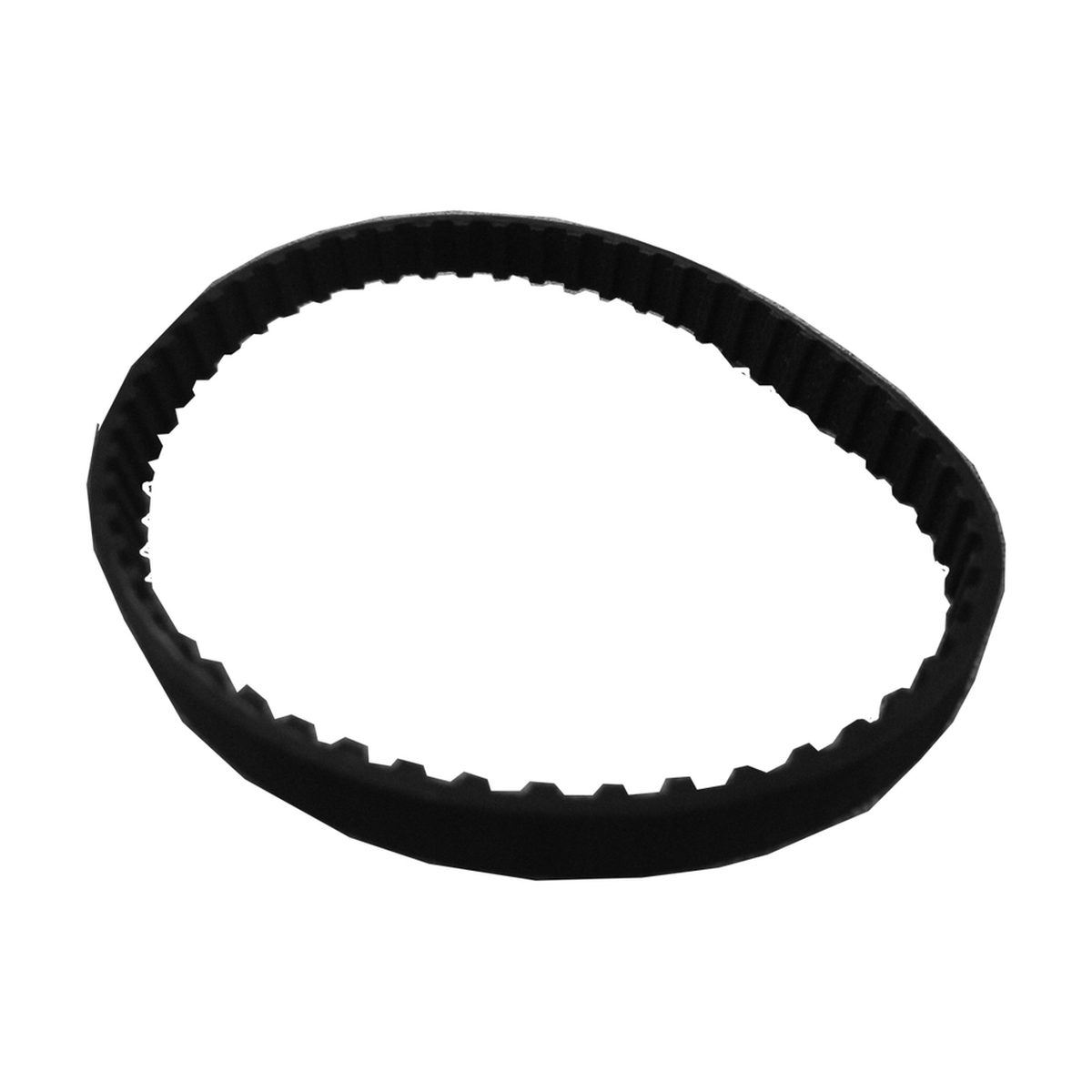 Ribbed Belt Main image