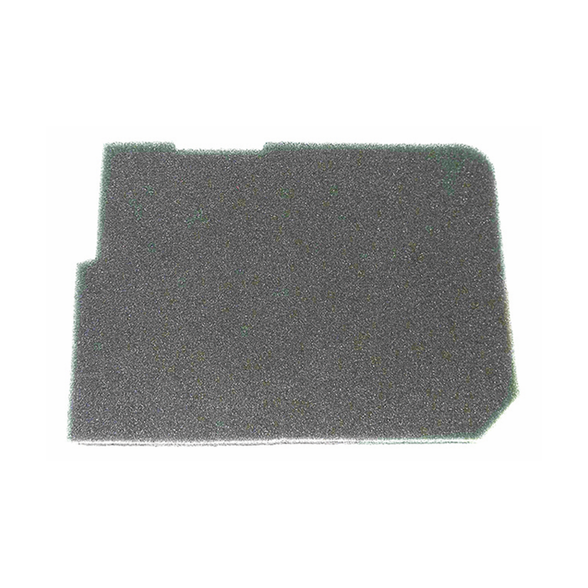 Foam Filter Below Bag