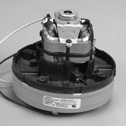 PB09 Motor Ametek For Perfect Power Backpack